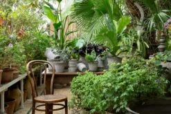 Bergs Potter Copenhagen Pot Grey, 16 Cm 11 Bergs Potter Copenhagen Pot Grey, 16 Cm -Hay Sales Store bergs potter copenhagen pot grey 27 1