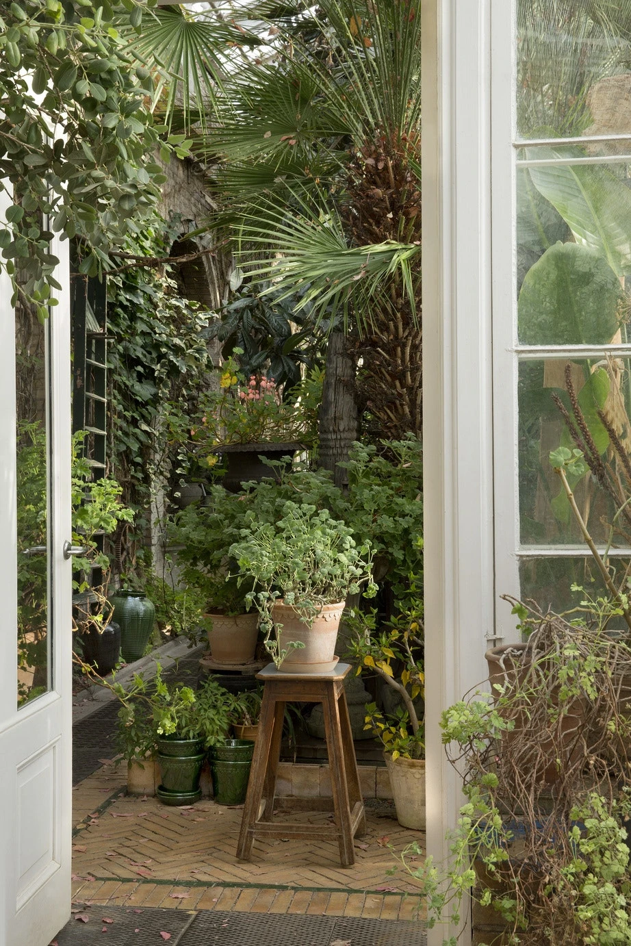 Bergs Potter Copenhagen Pot Rose, 12 Cm 5 Bergs Potter Copenhagen Pot Rose, 12 Cm - Image 5