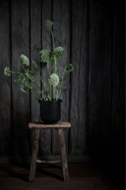 Ernst Pot With Ears H14 Cm, Black -Hay Sales Store ernst pot with ears black 1