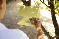 Picoti Bird Feeder, Clay Grey 8 Picoti Bird Feeder, Clay Grey -Hay Sales Store fermob picoti bird feeder clay grey 3