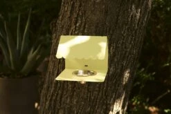 Picoti Bird Feeder, Clay Grey 9 Picoti Bird Feeder, Clay Grey -Hay Sales Store fermob picoti bird feeder clay grey 4