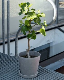 Hay Flowerpot With Saucer Grey, Ø14 Cm M -Hay Sales Store hay flowerpot pot with saucer grey 2 1