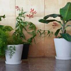 Hay Flowerpot With Saucer Grey, Ø14 Cm M -Hay Sales Store hay flowerpot with saucer grey 1 1