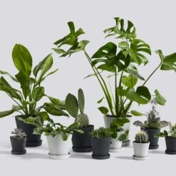 Hay Flowerpot With Saucer Grey, Ø14 Cm M -Hay Sales Store hay flowerpot with saucer grey 3 1