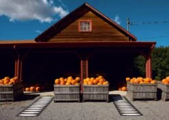 Ella Rug 70x450 Cm, Black/Vanilla -Hay Sales Store pappelina ella rug black vanilla 2 3