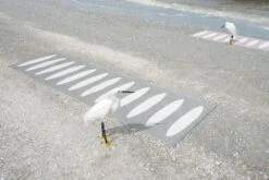 Ella Rug 70x225 Cm, Black/Vanilla -Hay Sales Store pappelina ella rug black vanilla 3 2