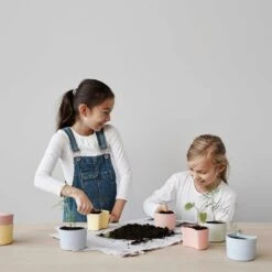 RIG TIG Your Tree Degradable Pot With Seed, Pink -Hay Sales Store rig tig by stelton your tree degradable pot with seed 1 1