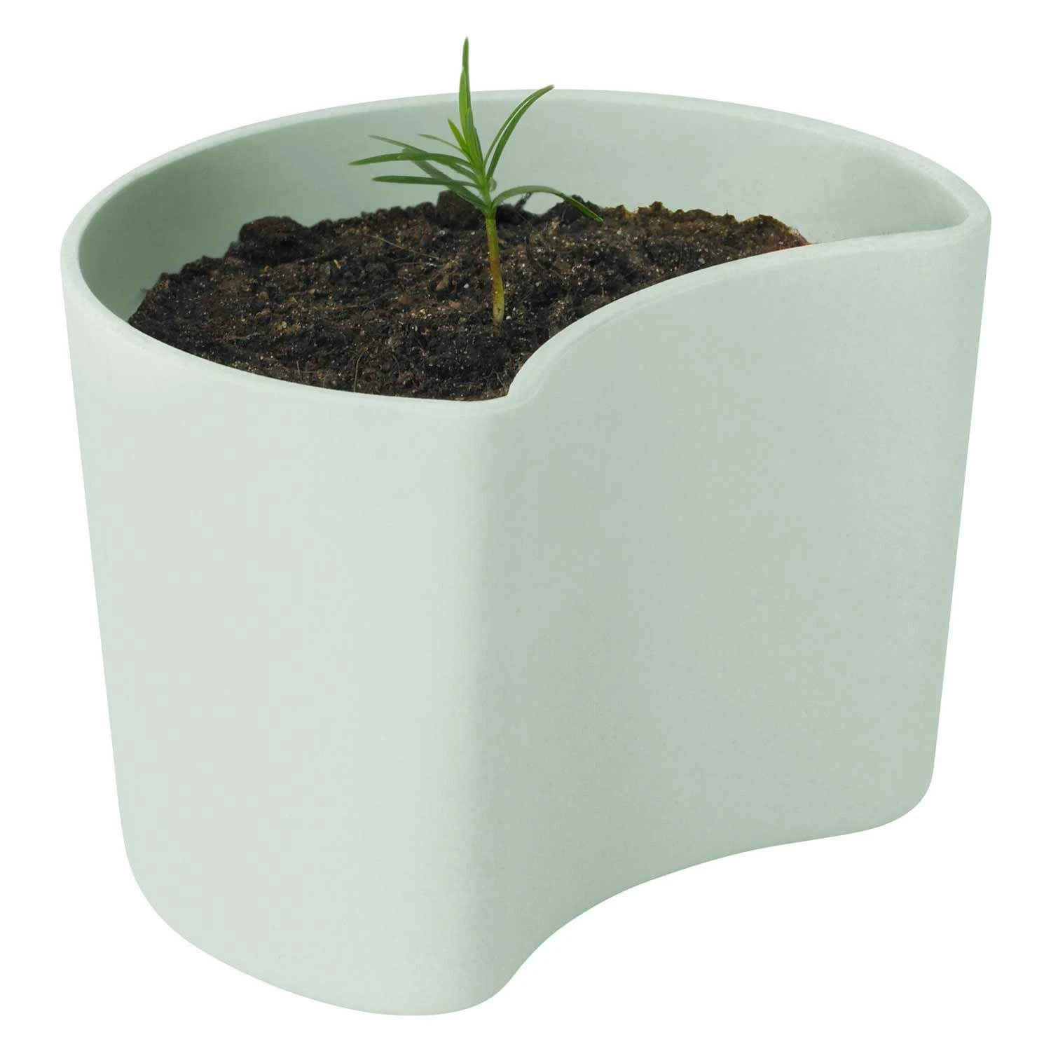 RIG TIG Your Tree Degradable Pot With Seed, Green 1 RIG TIG Your Tree Degradable Pot With Seed, Green