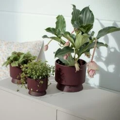 Ro Pot Bordeaux, 12 Cm -Hay Sales Store rosendahl copenhagen ro pot bordeaux 2 2