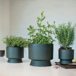 Ro Pot Dark Green, Ø12 Cm 7 Ro Pot Dark Green, Ø12 Cm -Hay Sales Store rosendahl copenhagen ro pot dark green 1