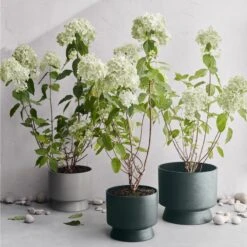 Ro Pot Dark Green, Ø12 Cm 8 Ro Pot Dark Green, Ø12 Cm -Hay Sales Store rosendahl copenhagen ro pot dark green 14