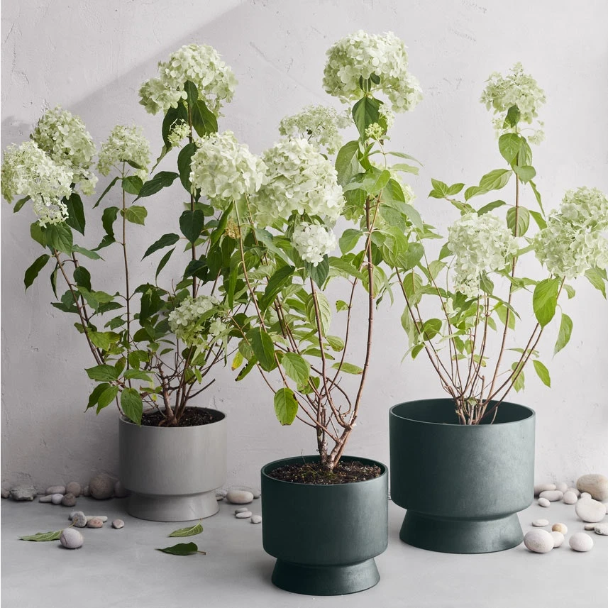 Ro Pot Dark Green, Ø12 Cm 4 Ro Pot Dark Green, Ø12 Cm - Image 4