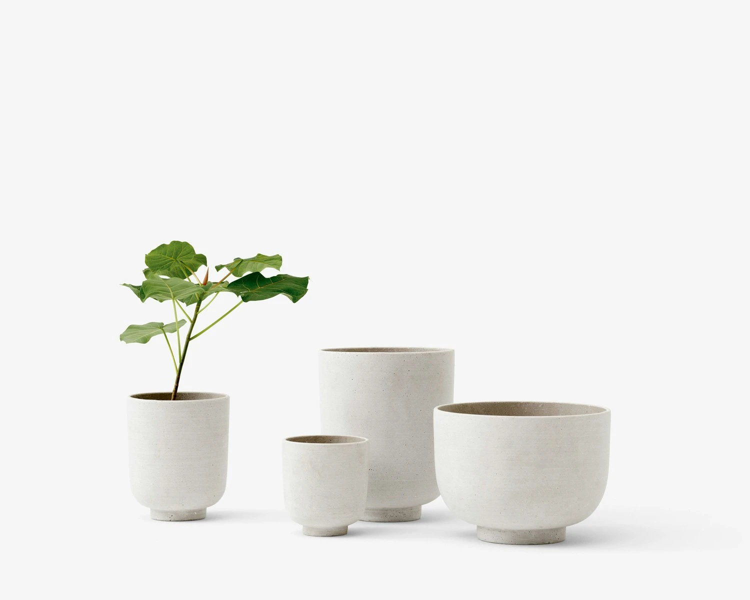 &Tradition Collect SC69 Planter SC69 Ø12x13 Cm, Milk 2 &Tradition Collect SC69 Planter SC69 Ø12x13 Cm, Milk - Image 2