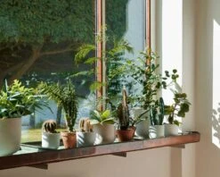 &Tradition Collect SC69 Planter SC69 Ø12x13 Cm, Milk 8 &Tradition Collect SC69 Planter SC69 Ø12x13 Cm, Milk -Hay Sales Store tradition collect planter sc69 dia12 x h13 cm 17