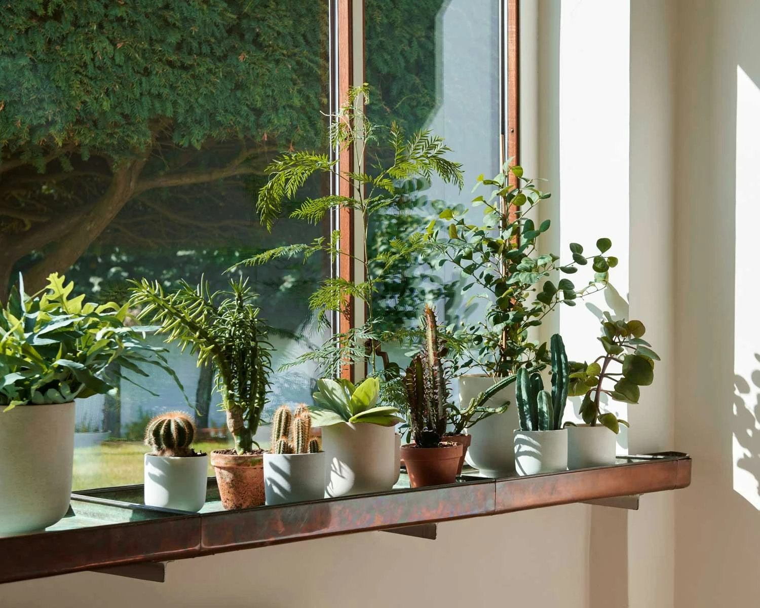 &Tradition Collect SC69 Planter SC69 Ø12x13 Cm, Milk 3 &Tradition Collect SC69 Planter SC69 Ø12x13 Cm, Milk - Image 3