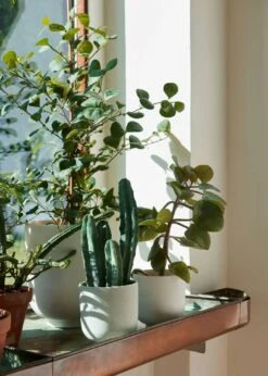 &Tradition Collect SC69 Planter SC69 Ø12x13 Cm, Milk 9 &Tradition Collect SC69 Planter SC69 Ø12x13 Cm, Milk -Hay Sales Store tradition collect planter sc69 dia12 x h13 cm 18