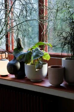 &Tradition Collec Planter Ø12x13 Cm, Silver -Hay Sales Store tradition collect planter sc69 dia12 x h13 cm 2 4