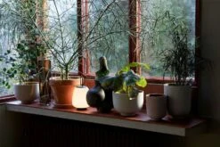 &Tradition Collect SC71 Planter Ø24x18 Cm, Ochre -Hay Sales Store tradition collect planter sc71 dia24 x h18 cm 2 1