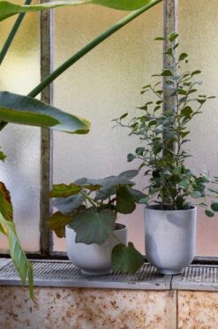 &Tradition Collect SC71 Planter Ø24x18 Cm, Light Grey 9 &Tradition Collect SC71 Planter Ø24x18 Cm, Light Grey -Hay Sales Store tradition collect planter sc71 dia24 x h18 cm 3